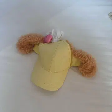 홍콩 디즈니 머리띠 쿠키앤 모자 쿠키 앤 디즈니랜드