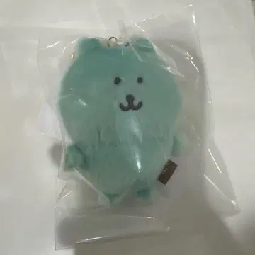 컬러풀 나가노의 곰 마스코트 민트 그린