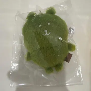 컬러풀 나가노의 곰 마스코트 말차