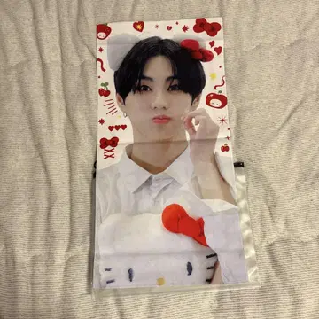 ENHYPEN 정원 슬로우건 마스터 키티