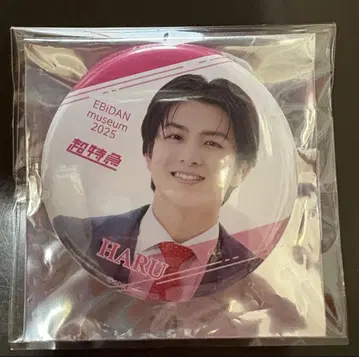 EBiDAN museum 2025 캔뱃지 초특급 하루