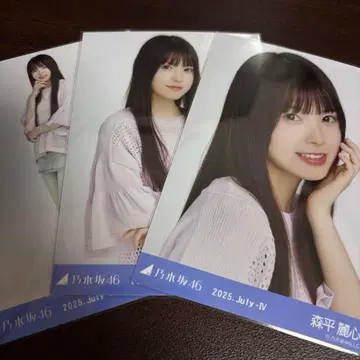 모리히라 레이신 노기자카46 메쉬 니트 브로마이드 3종 컴프