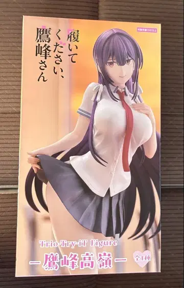 타카미네 타카네 피규어