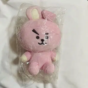 BT21 베이직 플러시 쿠키 봉제 인형 LINE Friends