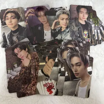 ENHYPEN SHOPEE kpopmerch 70장