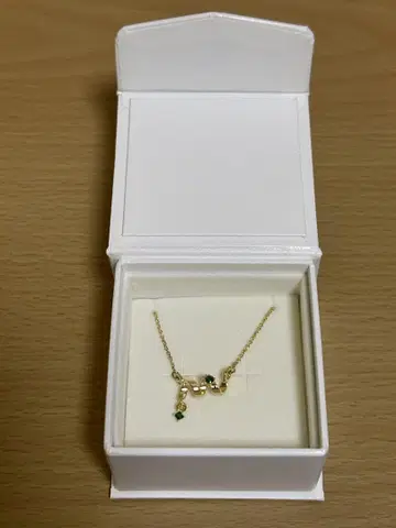 젠포지 이사쿠 이미지 목걸이