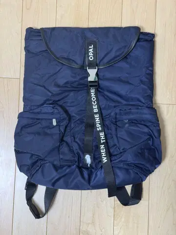 요네즈 켄시 척추가 오팔이 될 무렵 백팩
