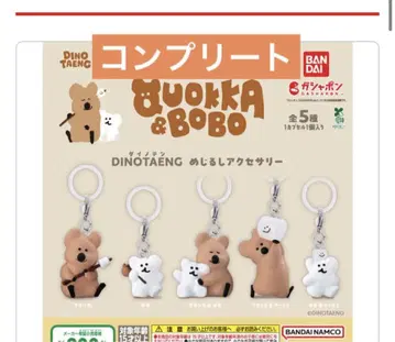 DINOTAENG 메지루시 액세서리 BUOKKA & BOBO 풀 컴프