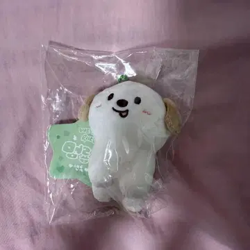 RIIZE 앤톤 멍룡이