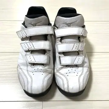 트레이닝 슈즈 미즈노 24.5cm
