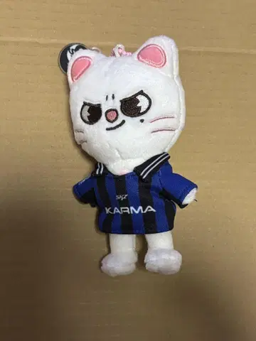 Stray Kids KARMA skzoo ver 현진
