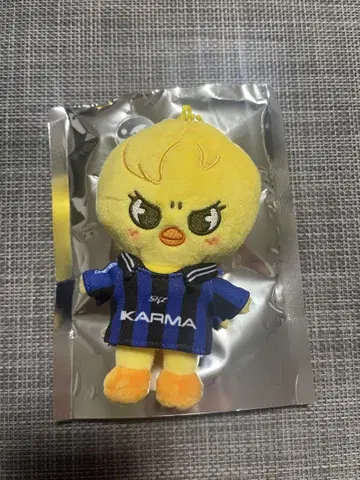 스키즈 KARMA skzoover.  필릭스 포가리 봉제 인형