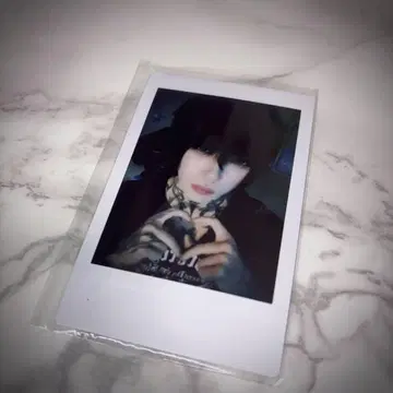 toa 폴라로이드 타이거 샤크