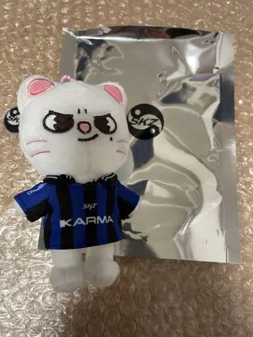straykids 스키즈 KARMA SKZOO 현진 지니레트