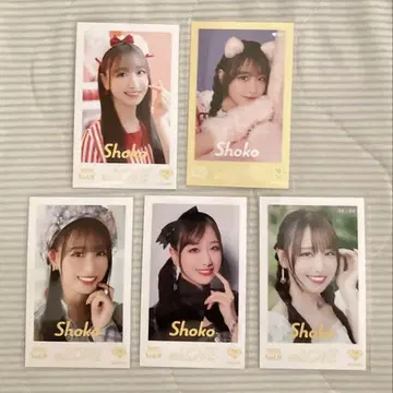 이코럽 타키와키 쇼 사진 미니 레어 고양이 의상