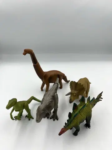 아니아 공룡 5체 세트
