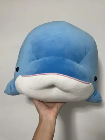 SEA PARADISE 돌고래 봉제 인형