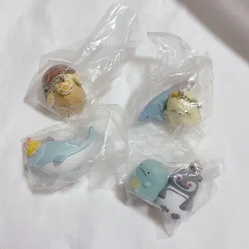 스마 씨월드 스미코구라시 가챠가챠