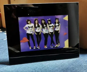 [ 레어 ] KARA 5인 패널 [ KARASIA 굿즈 ]
