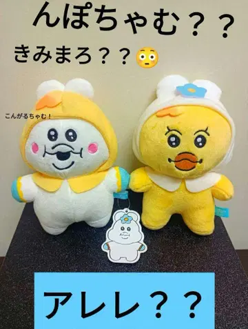 [챠무~] 빤쮸토끼 님포챠무 키미마로 친구가 되고 싶어 세트^_