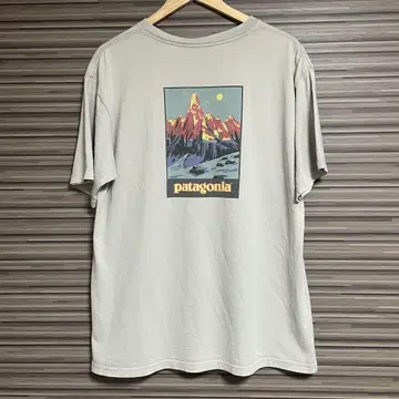 90s 파타고니아 usa제 T셔츠 Beneficial 빈티지