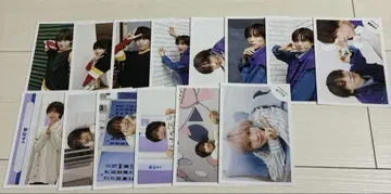 소년 닌자 아오키 코헤이 브로마이드 15장 세트