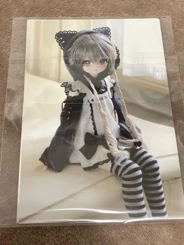딜러님 제작 아웃핏 MDD 의류 고양이 고양이