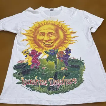 90's Grateful Dead SunshineDayDream