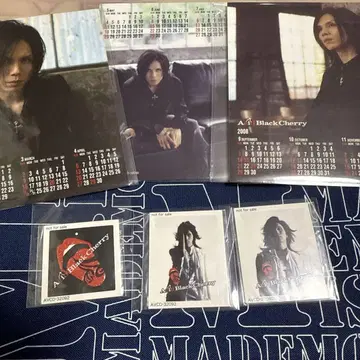 Acid Black Cherry 겨울의 환상 혜택 컴프품