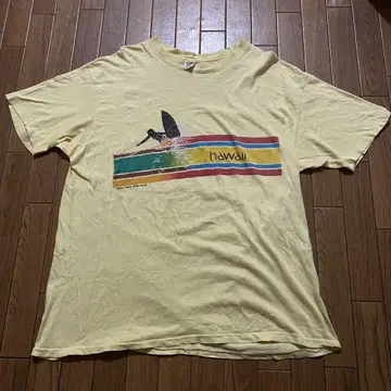 70's Hanes 삼각형 택 빈티지 Tee 서프 USA