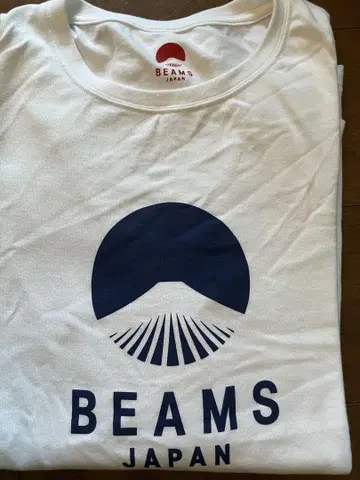 BEAMS JAPAN 후지산 롱T L 사이즈 긴팔 셔츠 일본제