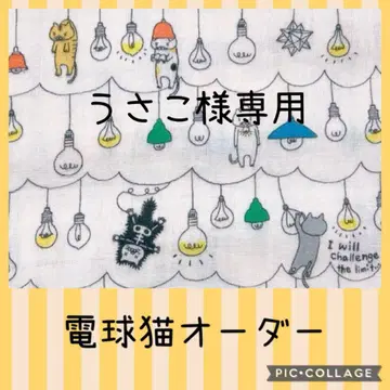 전구 고양이 오더 고양이 파우치 대