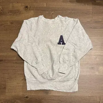 Champion Reverse Weave 그레이 L usa 제