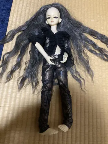구체관절 인형 머리카락과 의류 포함