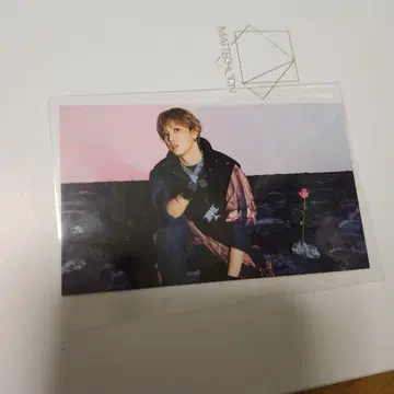 호리 나츠키 FANTASTICS