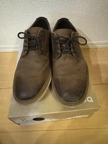 클락스 25.0cm
