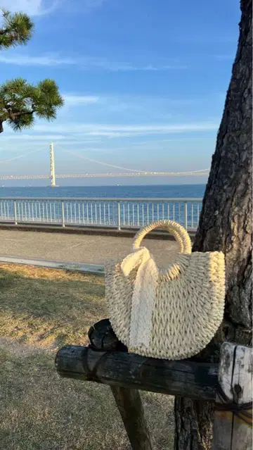 베이지 바스켓백 새상품