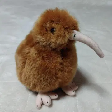 키위 봉제 인형