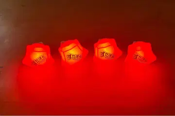 스타포라 Coe. 링 라이트