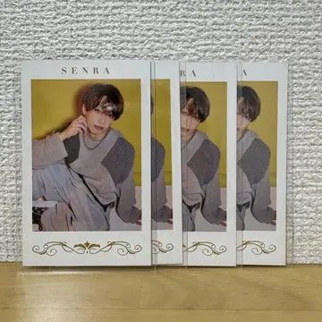 센라 폴라로이드