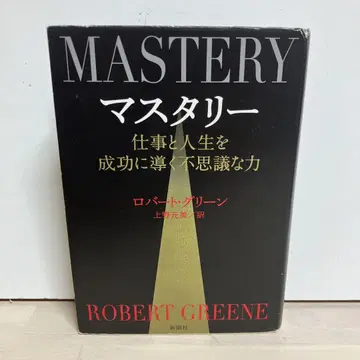 마스터리 업무와 인생을 성공으로 이끄는 신비한 힘
