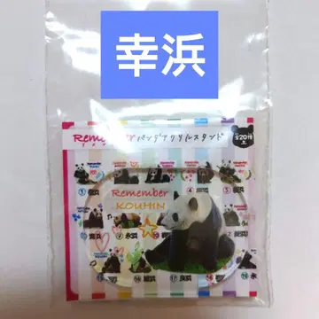 어드벤처 월드 팬더 신상품 랜덤 가챠 아크릴 스탠드 코우힌