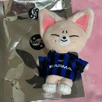 stray kids 스키즈 KARMA SKZOO 폭시니 아이엔