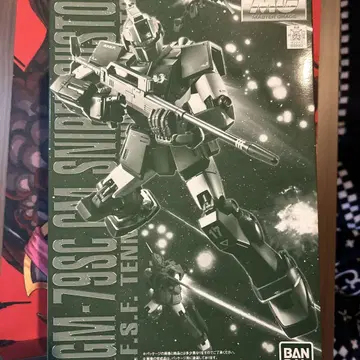 MG 1/100 짐 스나이퍼 커스텀 (테네스 A 융기)
