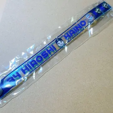 사이타마 세이부 라이온즈 오로라 블레스 카이노 히로시