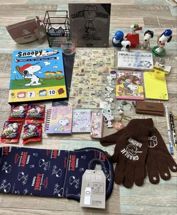 스누피 peanuts 묶음 판매 사진 액자 메모장 레터 세트