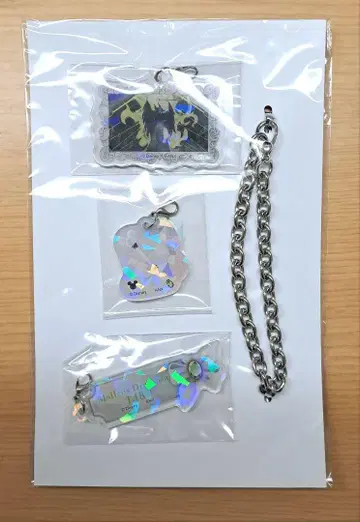 트위스테 체인 포함 홀로그램 아크릴 참 말레우스