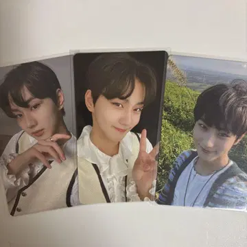 ENHYPEN 정원 트레이딩 카드