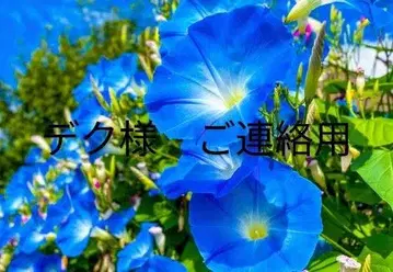 데쿠 님 헤어콤용 연락 페이지