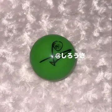 ENHYPEN 정원 사인공